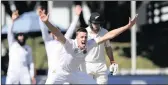  ?? PICTURE: BACKPAGEPI­X ?? South Africa’s Morne Morkel claimed his 250th wicket yesterday, only the sixth South African bowler to do so in Test cricket, when he was edged to Quinton de Kock by New Zealand’s Tom Latham on day three of the third Test in Hamilton yesterday.
