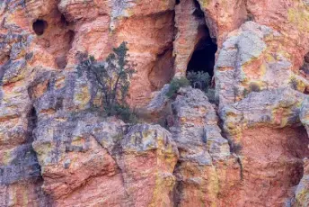  ??  ?? Left: Rock walls tower above the South Fork Trail in Cave Creek Canyon, Ariz. Right: A broad-billed hummingbir­d on the grounds of the Santa Rita Lodge in Arizona’s Madera Canyon.