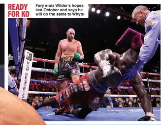  ?? ?? Fury ends Wilder’s hopes last October and says he will do the same to Whyte