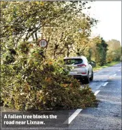  ?? A fallen tree blocks the road near Lixnaw. ??