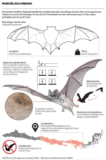  ?? INFOGRAFÍA: Heglar Fleming • LA TERCERA ??