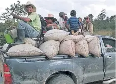  ?? FOTO: MARIELA TEJADA ?? COSECHA. Cortadores salen de una finca cafetalera del occidente del país.