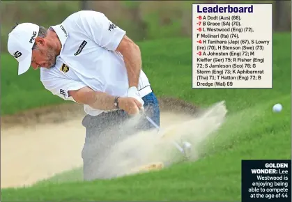  ??  ?? GOLDEN WONDER: Lee Westwood is enjoying being able to compete at the age of 44