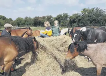  ??  ?? Founder Dan Corbin believes that if you show horses kindness they will always respond in a kind way.