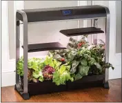  ??  ?? This photo shows one of AeroGarden’s indoor growing systems, the Farm Plus.