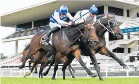  ?? Photo / Race Images ?? The Storytelle­r (outside) slipped near the crossing following his win in the Eagle Technology 2100 at Ellerslie yesterday.