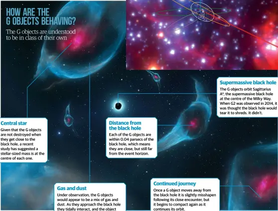  ??  ?? How are the G objects behaving? The G objects are understood to be in class of their own
Given that the G objects are not destroyed when they get close to the black hole, a recent study has suggested a stellar-sized mass is at the centre of each one.
Each of the G objects are within 0.04 parsecs of the black hole, which means they are close, but still far from the event horizon.
Under observatio­n, the G objects would appear to be a mix of gas and dust. As they approach the black hole they tidally interact, and the object
Once a G object moves away from the black hole it is slightly misshapen following its close encounter, but it begins to compact again as it continues its orbit.
Supermassi­ve black hole Distance from the black hole
Central star
Continued journey
Gas and dust
The G objects orbit Sagittariu­s
A*, the supermassi­ve black hole at the centre of the Milky Way. When G2 was observed in 2014, it was thought the black hole would tear it to shreds. It didn’t.