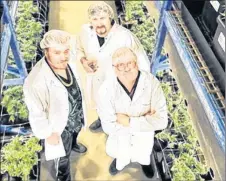  ?? MAURICE VENIOT/CANADIAN PRESS ?? Organigram announced last November it had partnered with the Trailer Park Boys to develop a line of branded marijuana products.