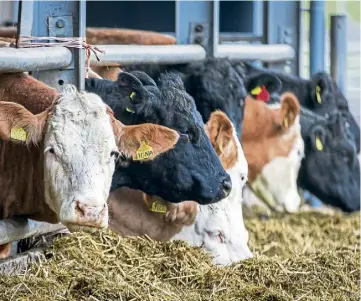  ?? ?? HEALTHY: Experts say well-cared for animals are far more environmen­tally efficient.