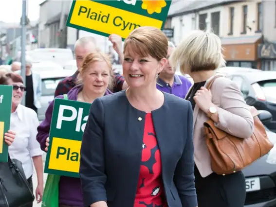  ?? (Rex) ?? Leanne Wood warned that 200,000 Welsh jobs could be at risk
