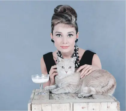 ?? / Foto: Getty Images / Donaldson Collection ?? Leto 1961, Audrey Hepburn v mali črni obleki, z mačkom z imenom Maček