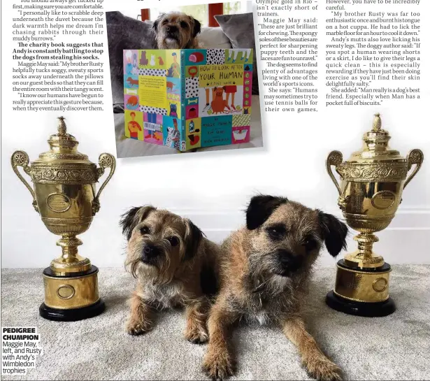  ??  ?? PEDIGREE CHUMPION Maggie May, left, and Rusty with Andy’s Wimbledon trophies