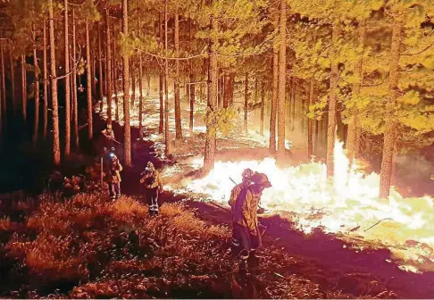  ?? FOTO: DPA ?? Rund  Einsatzkrä­fte kämpfen am Montag gegen die Feuerherde auf der Kanarenins­el Gran Canaria.