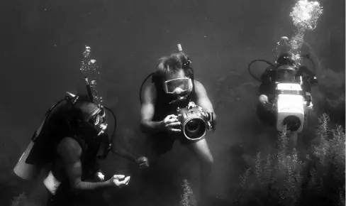  ??  ?? Above: 1985
Sea of Cortés, Mexico, Three divers, three cameras
