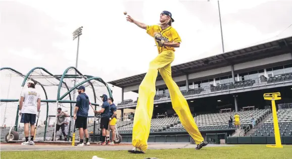  ?? ?? Un lanzador utiliza sancos en uno de los partidos de béisbol de los Savannah Bananas.