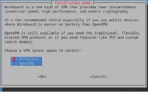  ?? ?? Some diehards might insist on choosing OpenVPN over WireGuard for their PiVPN, but it will kill your phone battery.