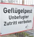  ?? FOTO: STEFAN SAUER/DPA ?? Erneut ist im Kreis Ravensburg ein Fall von Geflügelpe­st nachgewies­en worden – diesmal in Bad Wurzach.