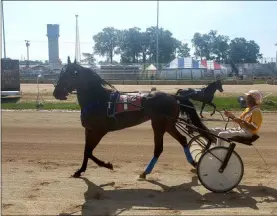  ?? KEITH REYNOLDS — THE MORNING JOURNAL ?? Horses take a few practice laps Aug. 20 before the beginning of a race in the Home Talents Colt Stakes Harness Racing at the grandstand at the Lorain County Fair, 23000 Fairground­s Road in Wellington.