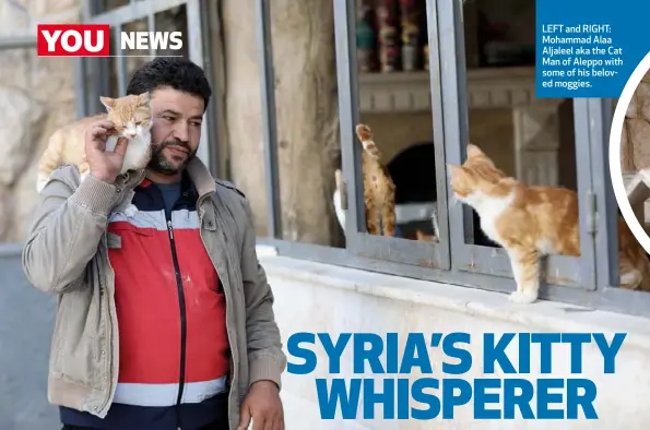  ??  ?? LEFT and RIGHT: Mohammad Alaa Aljaleel aka the Cat Man of Aleppo with some of his beloved moggies.