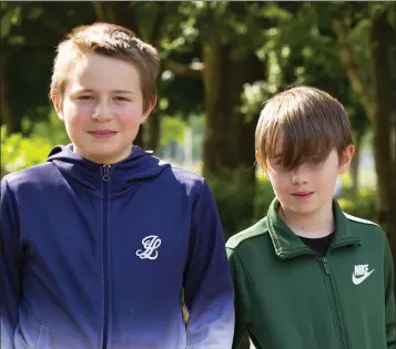  ??  ?? Mikey and Jake Mulhall from New Ross enjoying the recent fine weather at Pearse park.