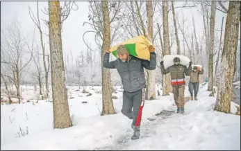  ??  ?? Mushtaq Ahmad leads other wildlife workers as they carry paddy towards parked boats to feed birds.