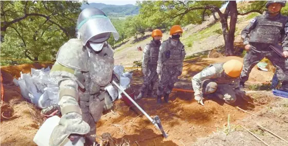  ?? Yonhap ?? South Korean soldiers remove landmines at Arrowhead Ridge, Cheorwon, Gangwon Province, on May 28, 2018, as part of an inter-Korean military agreement under which the two Koreas decided to carry out joint excavation project to retrieve war remains at the frontline hill area.