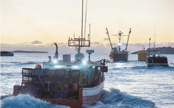  ??  ?? C’est le coeur rempli d’optimisime prudent que les homardiers du Nord-Est vont prendre la mer, dans quelques semaines. - Archives