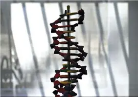  ?? BLOOMBERG ?? A model of human DNA. DNA sequencing is one of the technologi­es cited by Wood as “ready for prime-time”