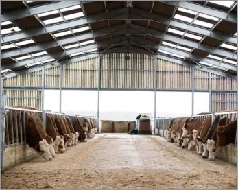  ?? Ref: RH21032409­0 ?? The large, airy shed which will house the cattle during the winter