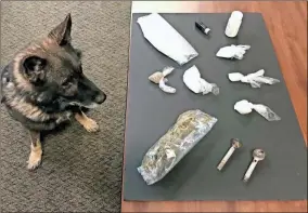  ?? Contribute­d ?? Eros, a GSCO K9 officer, poses with drugs and related materials found during a search warrant in Resaca.