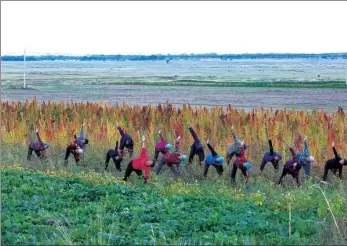  ?? ZHAO ZHANNAN / FOR CHINA DAILY ?? Villagers practice yoga during a work break in Yugouliang village, Zhangbei county in Zhangjiako­u, Hebei province, on Sept 12, 2018.