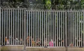  ?? AGNIESZKA SADOWSKA/ASSOCIATED PRESS/FILE ?? In May, migrants looked through the railings of a wall that Poland built on its border with Belarus.