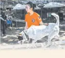  ?? PHOTO:AFP ?? Nathalia Chua guides her dog Hazel during a search and rescue programme in Taguig, Manila.