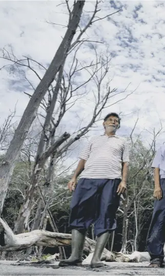  ??  ?? Pablo Ramirez, Pedro Rivero and Nuhem Diaz say La Tirana’s mangrove swamp has been devastated by the effects of global climate change