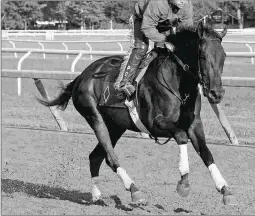  ?? BARBARA D. LIVINGSTON ?? Elate won the Light Hearted Stakes at Delaware Park, then was runner-up in the Coaching Club American Oaks at Saratoga.