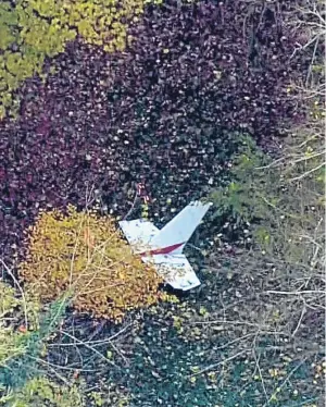  ??  ?? DEBRIS: Wreckage lies in dense woodland following the mid-air collision