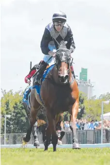  ?? Picture: GRANT PETERS ?? Houtzen, ridden by Jeff Lloyd and trained by Toby Edmonds, blitzes the field at the Coast in 2017.