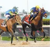  ?? WILFREDO LEE AP ?? National Treasure (right) ridden by jockey Flavien Prat, beats out Senor Buscador to win the $3 million, Pegasus World Cup at Gulfstream Park.