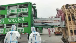  ?? PROVIDED TO CHINA DAILY ?? Customs officers wait to quarantine 985 breeding pigs from the United States at Shuangliu Airport in Chengdu, Sichuan, last month.