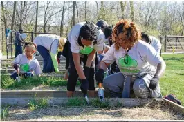  ?? CONTRIBUTE­D ?? With spring right around the corner, gardeners are preparing to get outside.