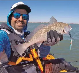  ??  ?? Corvina capturada con jig de 40 g. Para pescar esta especie hay que trabajar el jig repicando el fondo. Es importante cuidar las manos usando guantes, pues el contacto continuo con el agua ablanda la piel y los peces la lastiman.