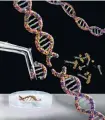  ?? PHOTO: GETTY IMAGES ?? The genetic modificati­on industry could be worth as much as $50 billion, according to the Aotearoa Boosted by BioTech report.