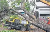  ?? SATISH BATE/HT ?? BMC workers cut a collapsed tree on Wednesday.