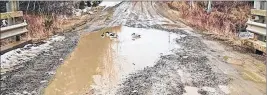  ?? SUBMITTED PHOTO ?? This file photo shows some ducks that made themselves at home in a large puddle recently found on the Orangedale-Iona Road, that is also known as Alba Road. Residents are not happy with the road’s condition.