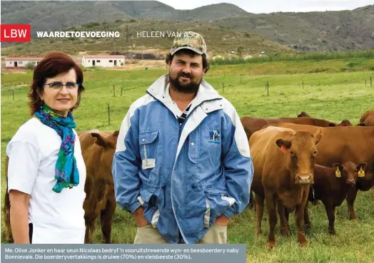  ??  ?? Me. Olive Jonker en haar seun Nicolaas bedryf ’n vooruitstr­ewende wyn- en beesboerde­ry naby Bonnievale. Die boerderyve­rtakkings is druiwe (70%) en vleisbeest­e (30%).