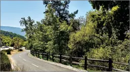  ??  ?? A scenic walking path that meanders among oaks and alongside the Guadalupe Creek. Gather with neighbors or stop at one of the benches along the way to relish the peaceful surroundin­gs.