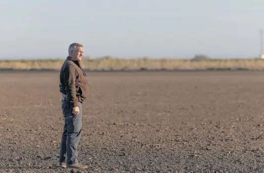  ?? PACO PUENTES ?? El agricultor algodonero Felipe López, el 29 de febrero en una de sus parcelas de Las Cabezas de San Juan (Sevilla).