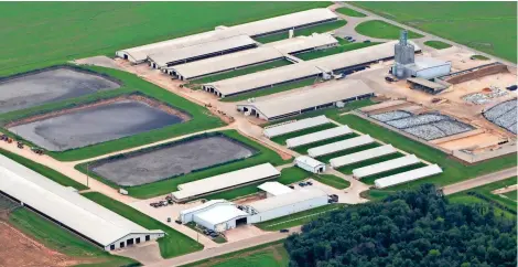  ?? MARK HOFFMAN / MILWAUKEE JOURNAL SENTINEL ?? The Wiese Brothers Dairy Farm in Greenleaf is one of the largest dairy operations in the state, with about 8,000 cows and 2,500 of them in milk production. The Department of Natural Resources said it will rely more on consultant­s hired by farmers to...