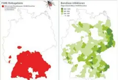  ?? Grafiken: Omega Pharma Deutschlan­d GmbH ?? Große Teile von Bayern gelten als FSME-Risikogebi­et (links). Und auch die Borreliose-Erreger sind hier weitverbre­itet.