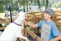  ??  ?? Best of mates: Jackson Shatford-banks, 10, of Wakefield, makes a friend.